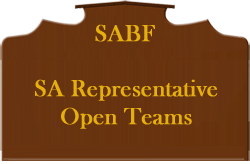 SA Representative Open Teams