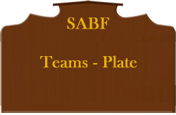 Teams Plate